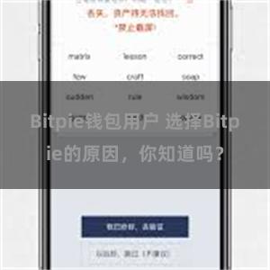 Bitpie钱包用户 选择Bitpie的原因，你知道吗？