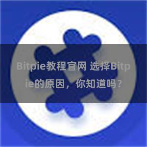 Bitpie教程官网 选择Bitpie的原因，你知道吗？