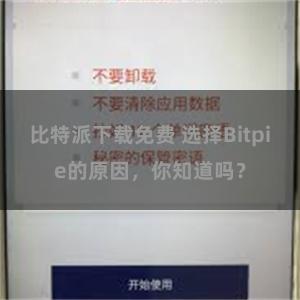 比特派下载免费 选择Bitpie的原因，你知道吗？