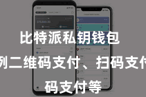 比特派私钥钱包  举例二维码支付、扫码支付等