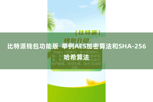 比特派钱包功能版  举例AES加密算法和SHA-256哈希算法