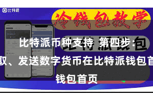 比特派币种支持  第四步：袭取、发送数字货币在比特派钱包首页